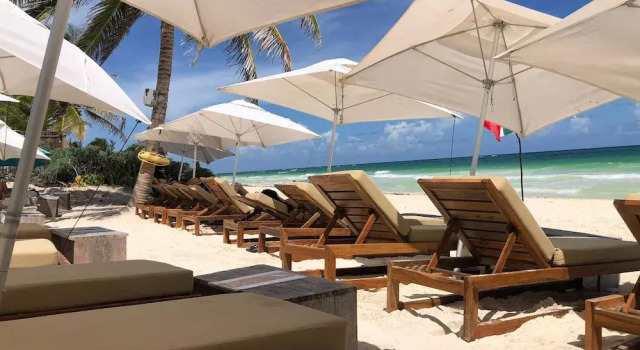 Апартаменты Gorgeous Loft Jungle Views and Premium Amenities