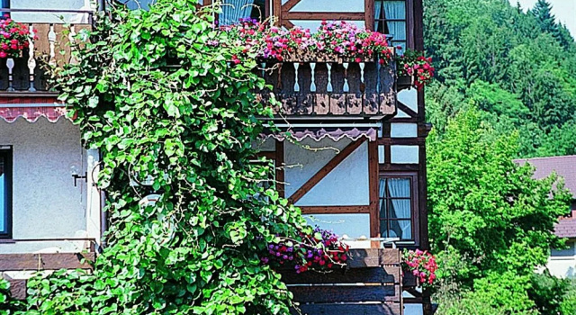Hotel Hirsch
