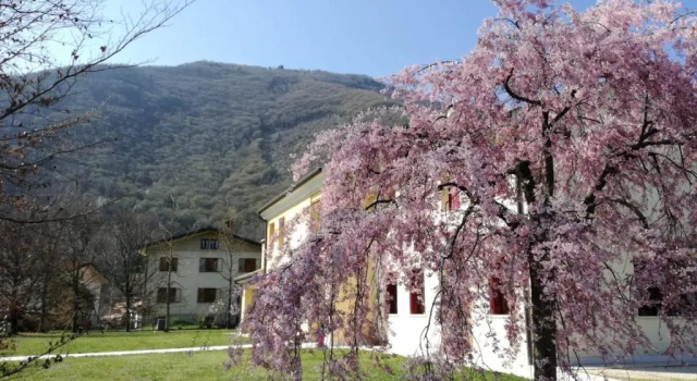 Коттедж с 3 комнатами Agriturismo Memento