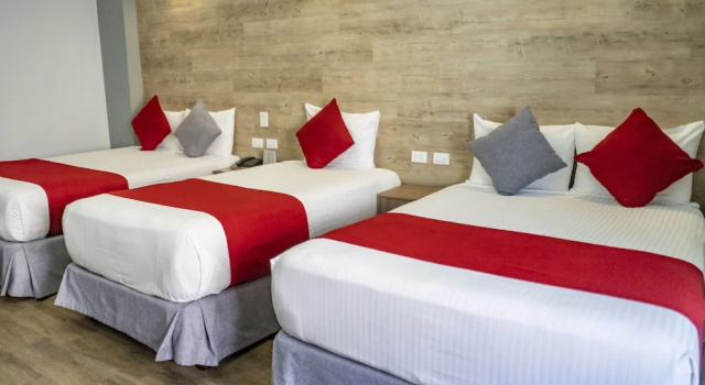 Трёхместный номер Standard Hotel Hidalgo