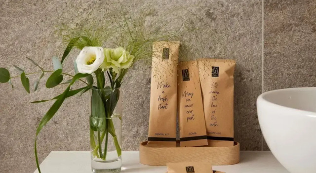 Полулюкс Domaine du Liziec Vannes - MGallery Collection