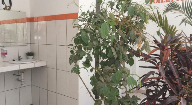 Номер Standard Paracas Backpackers House