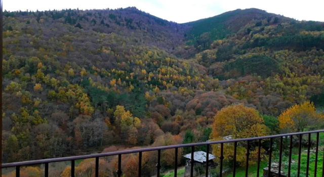 Апартаменты Deluxe Apartamentos Rurales El Bosque de las Viñas