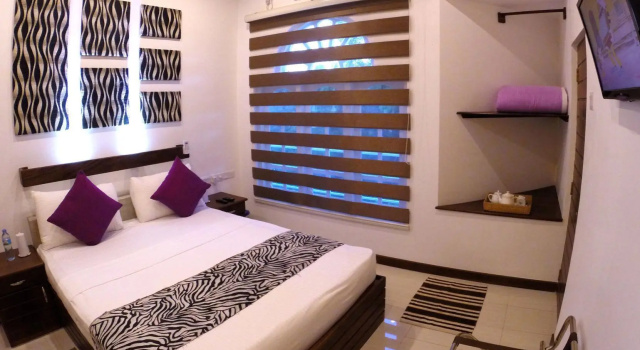 Двухместный номер Deluxe Winter Villa