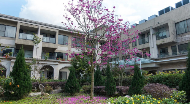Tai-Yi Red Maple Resort, Rezervați Stațiune Hoteluri în Nantou cu piscină, Piscină