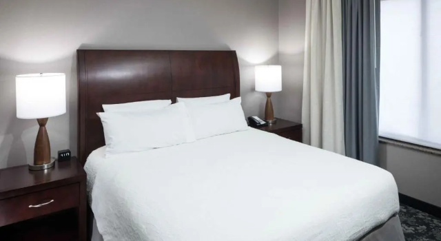 Люкс Deluxe Hilton Garden Inn Detroit/Novi