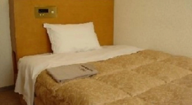 Одноместный номер Standard Mito Riverside Hotel