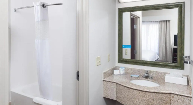 Номер Standard Hampton Inn & Suites Dothan