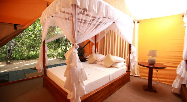 Yala safari and Relax camping