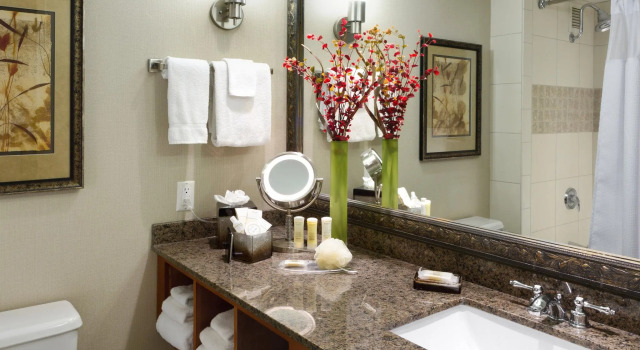 Двухместный номер Standard Crowne Plaza Minneapolis West by IHG