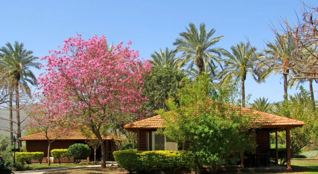Шале Nir David Country Lodge