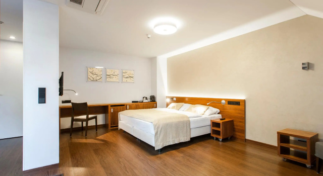 Номер Deluxe Hotel Carol