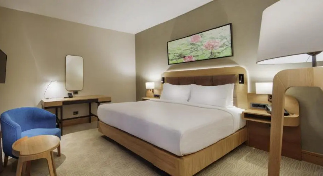 Двухместный номер Deluxe DoubleTree by Hilton Hotel Istanbul - Tuzla