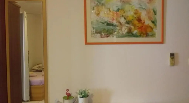 Апартаменты c 1 комнатой с балконом Apartments Panda