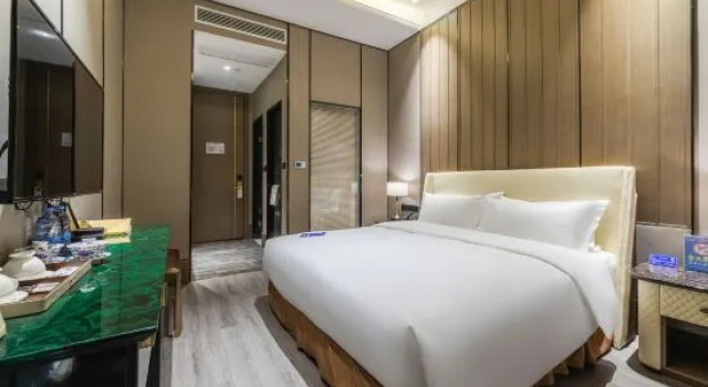 Двухместный номер Standard с видом на город Elite Polink Global Hotel