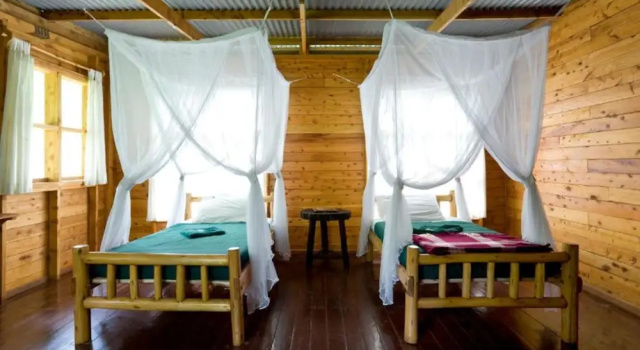 Номер Standard Budongo Eco Lodge