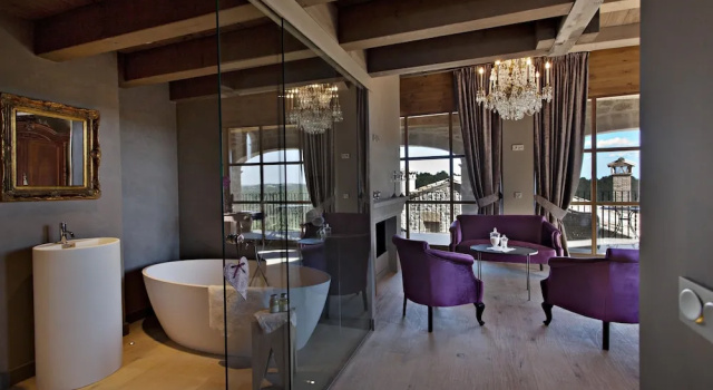 Номер Deluxe с балконом La Vella Farga Hotel