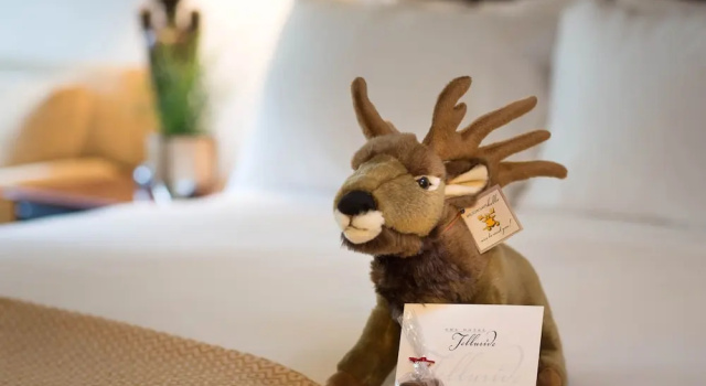 Двухместный номер Superior The Hotel Telluride