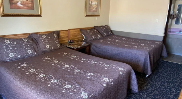 Четырёхместный номер Standard Blue Spruce Motel