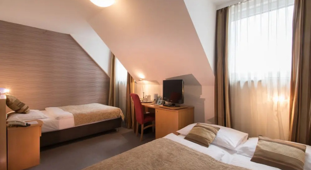 Двухместный номер Standard Hotel Geyer