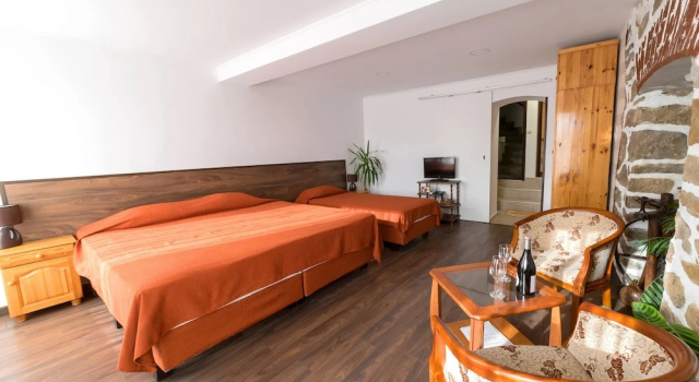 Двухместный номер Standard c 1 комнатой с балконом и с видом на сад Hotel Stambolov