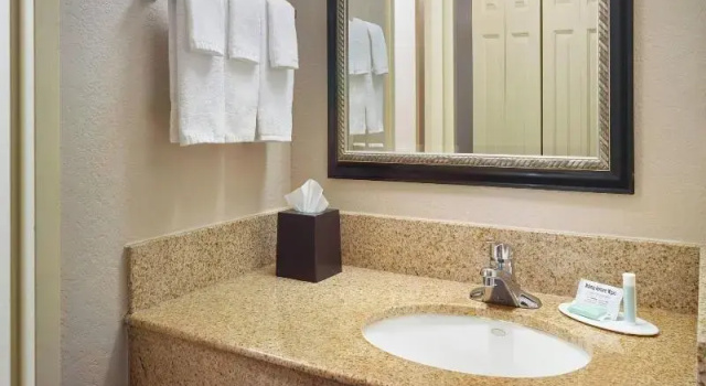 Двухместный номер Standard с красивым видом из окна Courtyard by Marriott Baton Rouge Acadian Centre/LSU Area