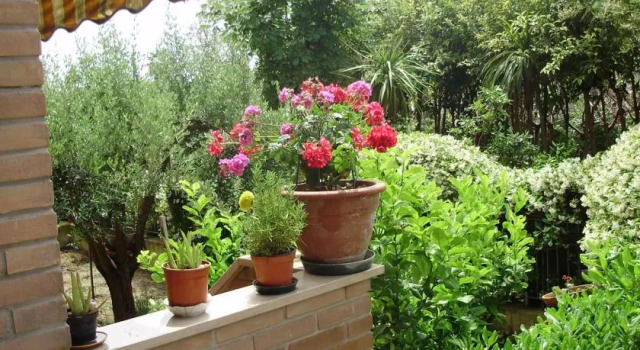 B&B Le Palme, Đặt Nhà nghỉ có bữa sáng Khách sạn Giá rẻ tại Marche