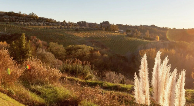 Restful Holiday Home With Jacuzzi in Montopoli, Забронировать Дом для отпуска Монтополи-ин-Валь-д'Арно Тоскана