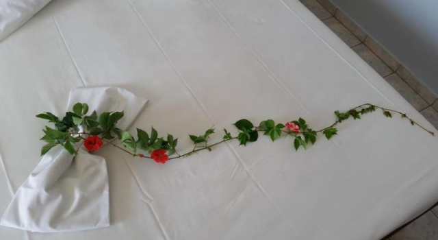Одноместный номер Standard Astir Palace Hotel