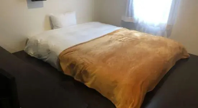 Одноместный номер Standard Green Rich Hotel Hamada Ekimae