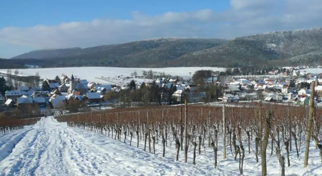 Daire Gîte HAURY