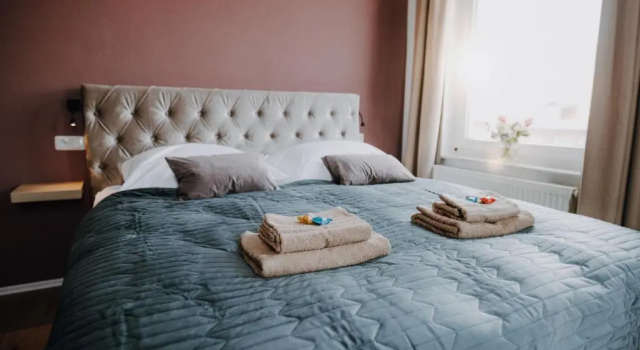 Двухместный номер Standard Hotel Villa Ems