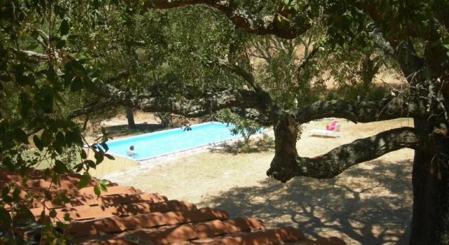 Апартаменты с видом на бассейн Agriturismo Poggio Macinaio