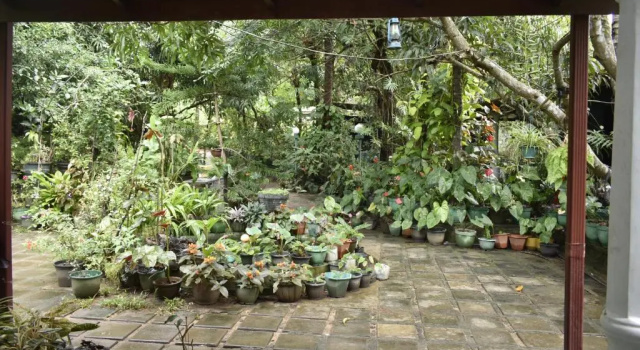 Номер Standard Sigiri Rock Side Home Stay