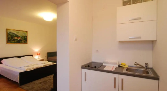 Апартаменты c 1 комнатой с балконом Vrnjci House