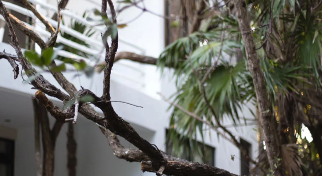 Casa Ambar Hotel & Boutique - Party Side Tulum, Rezervovat Hotel Tulum Quintana Roo, blízko Ziggys