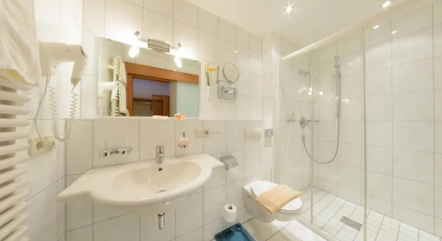 Трёхместный номер Standard Hotel Boehler