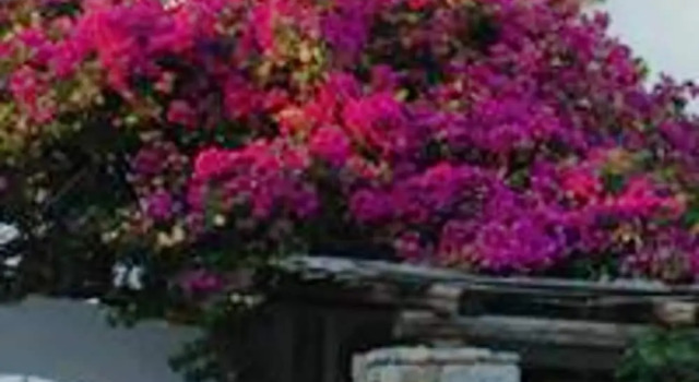 Studio in Aliki, With Wonderful sea View, Furnished Terrace and Wifi, Забронировать Отель Отели Парос с парковкой, Парковка