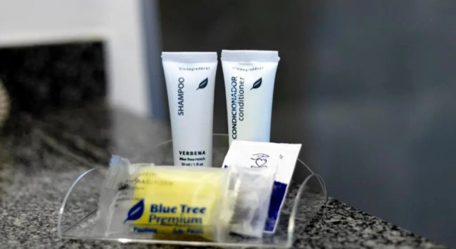 Двухместный номер Superior Blue Tree Premium Paulista