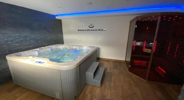 Двухместный номер Standard Hotel & SPA centrum PALMIRA