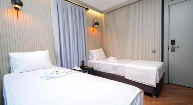 Двухместный номер Deluxe Basel Hotel