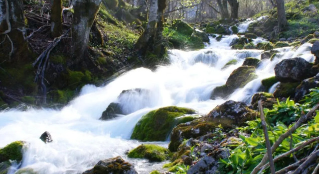Hotel Ravnjak, Varaa Hotelli Bistrica Mojkovac County