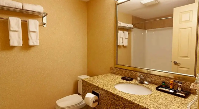 Номер Standard Hotel Kelowna & Conference Centre