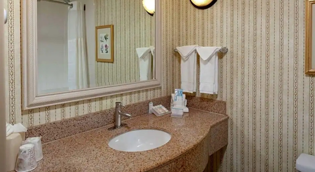 Четырёхместный номер Premium Hilton Garden Inn Charlotte North