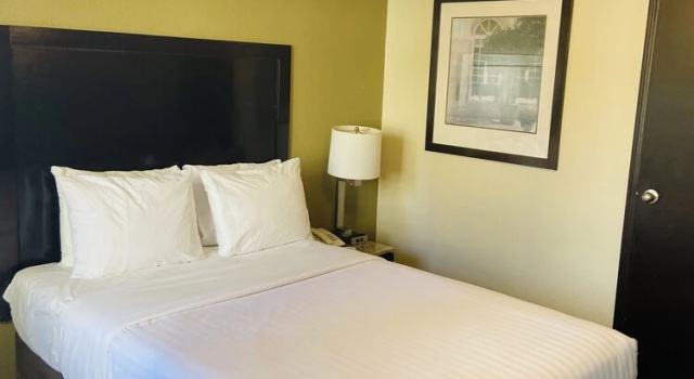 Номер Standard Hotel America