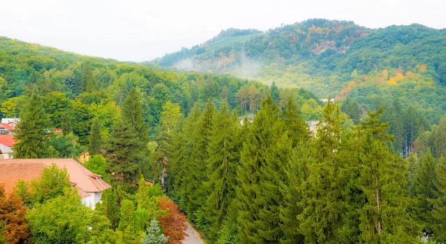 Номер Standard Hotel Olanesti & Spa Medical