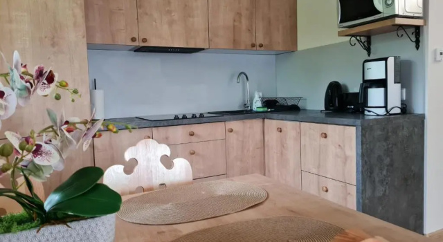 Люкс Apartamenty Convallis