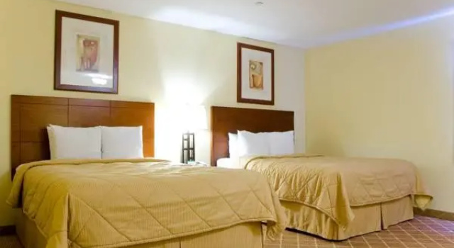 Четырёхместный номер Deluxe с видом на бассейн Comfort Inn Cockatoo Near LAX Airport