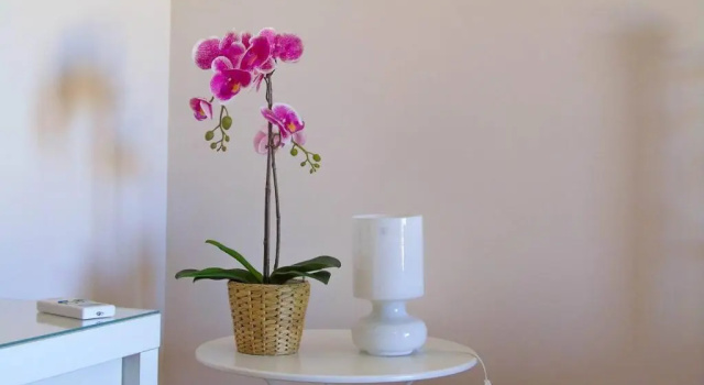Номер Comfort Aloha Marzamemi Rooms