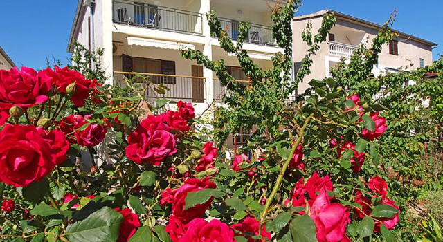 Apartment Ivka Cervia 18558, Забронировать Апартаменты/квартира Трибунь Шибенско-Книнская жупания